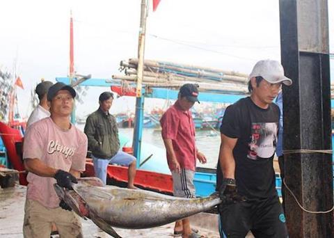 The Vietnam Tuna Association has joined the IPNLF Photo: VinaTuna