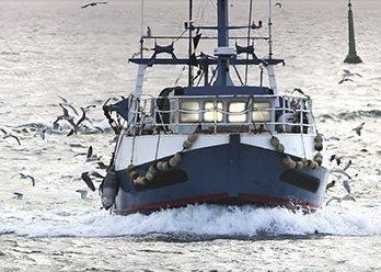 Pingtan has ordered 25 new fishing vessels. Credit: Pingtan Marine Enterprise Ltd