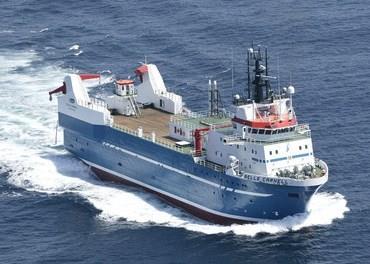 Belle Carnell was launched last year