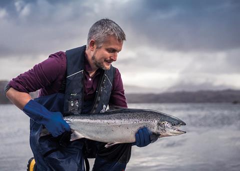 Loch Duart salmon