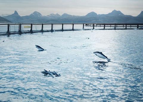 Cermaq fish farming operations