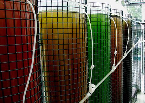 Microalgae tanks which supply a steady supply of nutrients for young oysters. Credit: NOAA Aquaculture Program