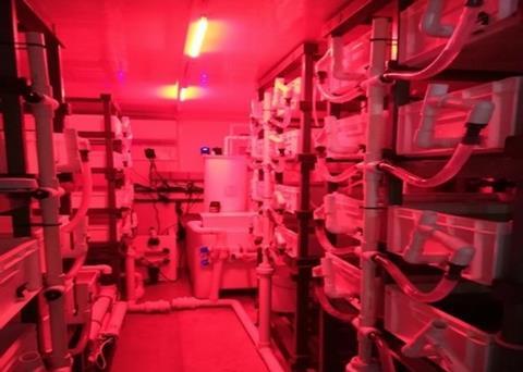 Orkney Shellfish Hatchery