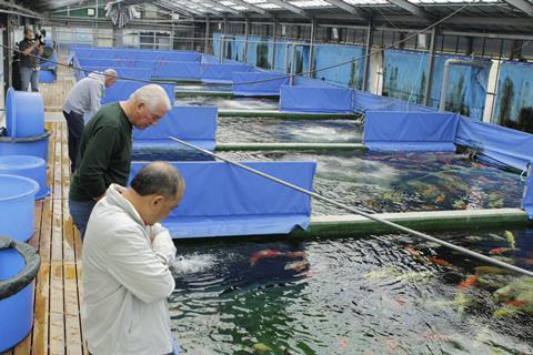 Kazakh aquaculture