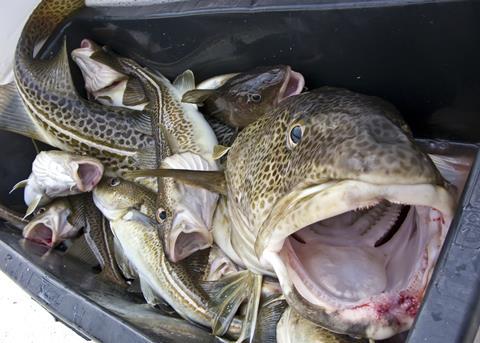 Fishing mortality for cod declined by 43% between 2000 and 2011