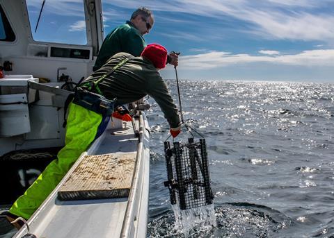 Longline Survey goes to Plan B, then Plan C