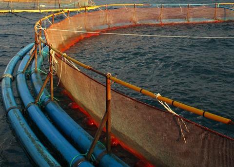 Aquaculture vital for coastal communities