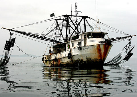 Six nations have been identified as engaging in IUU fishing. Credit: Mike Markovina/Marine Photobank