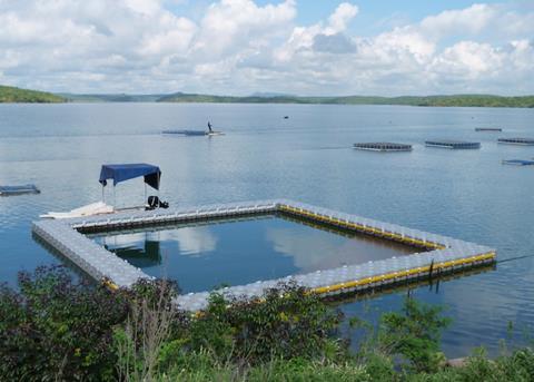 Dock Blocks reduce maintenance costs