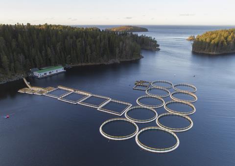 Russian aquaculture in trouble