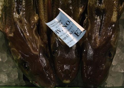 Over the last decade the cod stock in the North Sea has seen significant improvements