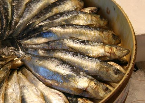 The panel predicted that there will be fish in 2050 but it will be mainly the smaller variety