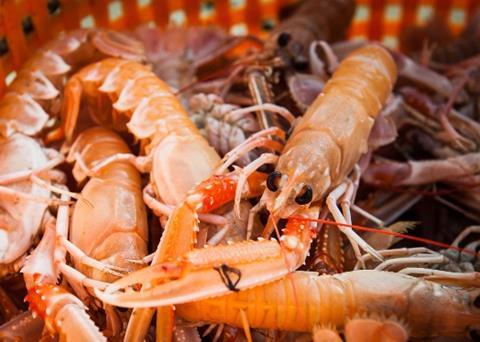 Over 100 inspections were carried out at Swedish fishing ports. Photo: Chrius Grodotzki