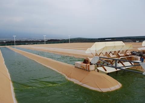 Open ponds at Cellana’s Kona Demonstration Facility (KDF) on the Big Island of Hawaii