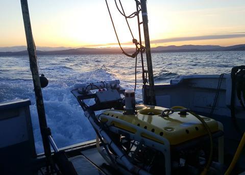 Falcon helps endangered rockfish