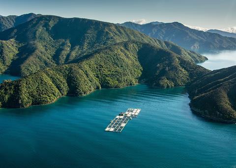 Ora King is raised by The New Zealand King Salmon Company in the South Island’s Marlborough Sounds