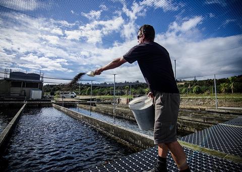 The aim is to develop a high-quality, species-specific feed that significantly improves on the generic products currently available