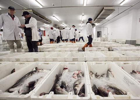 Fish processing