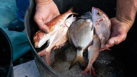 SP_20220601_©GFCM_Claudia_Amico-01323