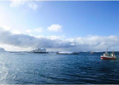 “High salmon prices are the greatest driver for growth in seafood exports,” says Egil Ove Sundheim, Market Information Director at the Seafood Export Council. Photographer: Johan Wildhagen ©EFF