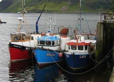 Greenpeace says that the UK fishing quota is being used to fill the coffers of overseas operators