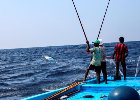 Indonesia's pole-and-line skipjack fishery is gearing up for MSC certification