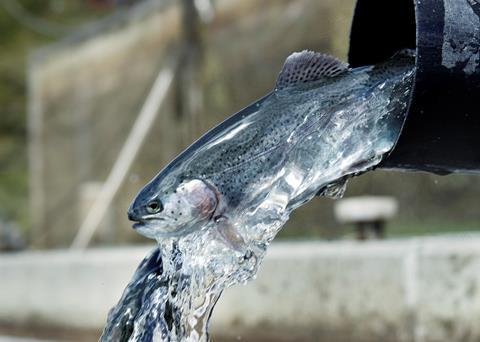 Kongeåen River Fish Farm, Denmark is an example of a freshwater fish farm which recycles its water. The high-tech and environmentally friendly model fish farms use water from boreholes, rather than from rivers, and are based on water recirculati...