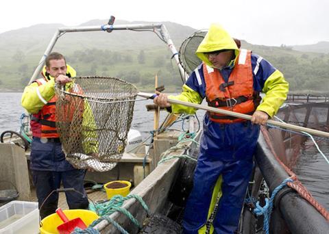 The Fish Site and the University of St Andrews are offering a new range of modular short courses for aquaculture studies