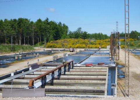 ASC certified trout from Danforel will soon be available