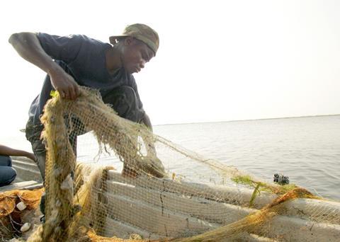 The project aims to strengthen Africa’s great potential for increased trade in fish. Credit: WorldFish