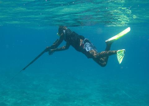 A Papua New Guinean spear fisherman loading a rifle-style spear gun at the surface. These spear guns are normally hand carved wooden stocks with rubber slings that fire a thin metal rod that has been hand sharpened.