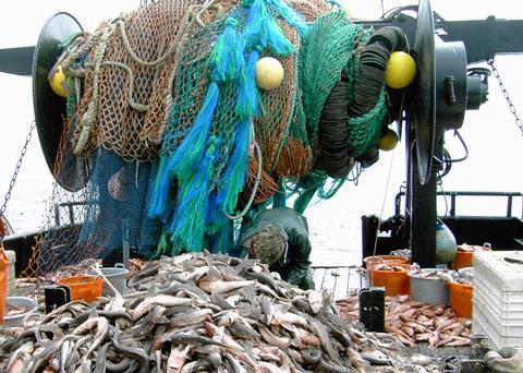 Trawling is blamed for being the worst villain to harm the ocean floor. Credit: John Wallace, NOAA/NMFS/NWFSC/FRAMD