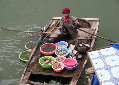 Vietnam has the third highest import rejection rate. Photo: Kathleen Reaugh/Marine Photobank