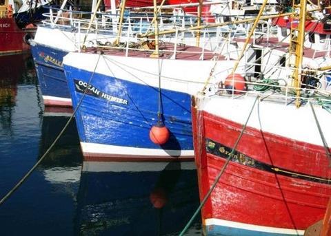 The NFFO says Greenpeace's claims against its Anglo-Spanish fleet are 'nonsense'. Photo: Stephen McKay