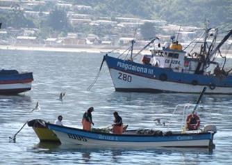 Three Chilean stocks are exhausted, 10 are overfished, and 15 are in full operation. Credit: Subpesca