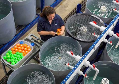 Cargill's fish feed plant in India