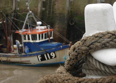 EcoFishMan aims to develop a new fisheries management system. Credit Daplaza