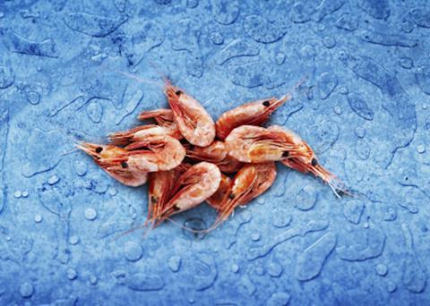 St. Anthony shrimp plant gets approval