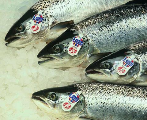 Scottish Sea Farms’ Label Rouge salmon. Credit: Scottish Sea Farms