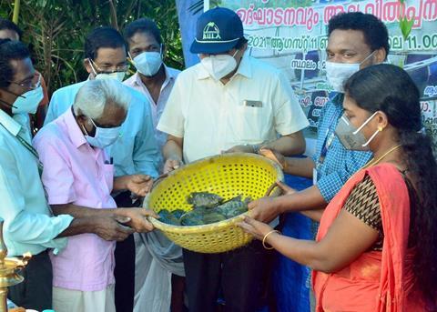 A view of the pearl spot harvest in the cage fish farming venture of the SC families in Maradu Photo: CMFRI