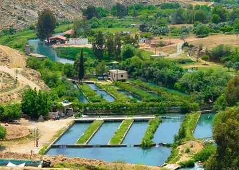 Aquaculture in Lebanon will help bring about food security in the region Photo: GFCM