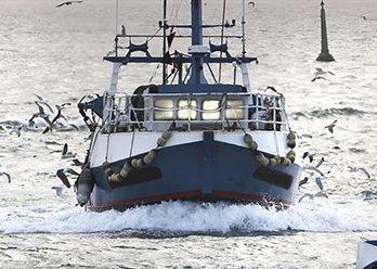 Pingtan expects the Indonesian anti-IUU measures to impact positively on the company’s pricing. Credit: Pingtan