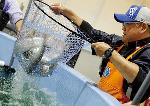 New approach for a sustainable future