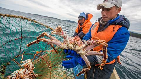 Crab catch in Russian Far East
