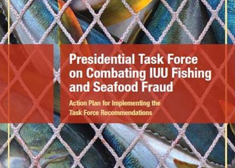 The Presidential Task Force has released its action plan