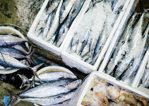 Credit Facility for Icelandic Exporter