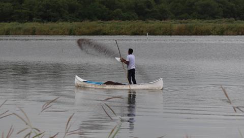 Ecuador shrimp farm