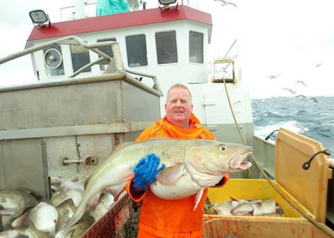 Plenty of big cod in the sea