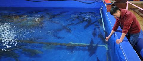 Indoors aquaculture pen with fish swimming in it