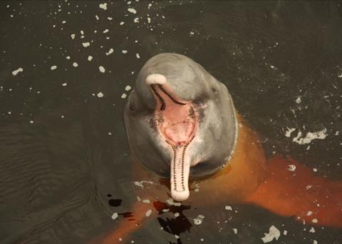 The purpose of the dolphin-safe label is to assure consumers that no dolphins were harmed in the capture of tuna